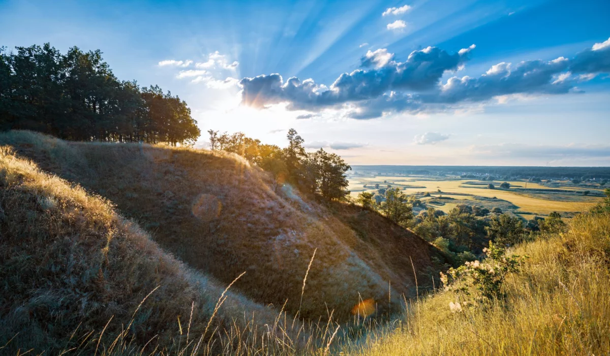 Jak  kupić artykuł sponsorowany - nowości w 2023