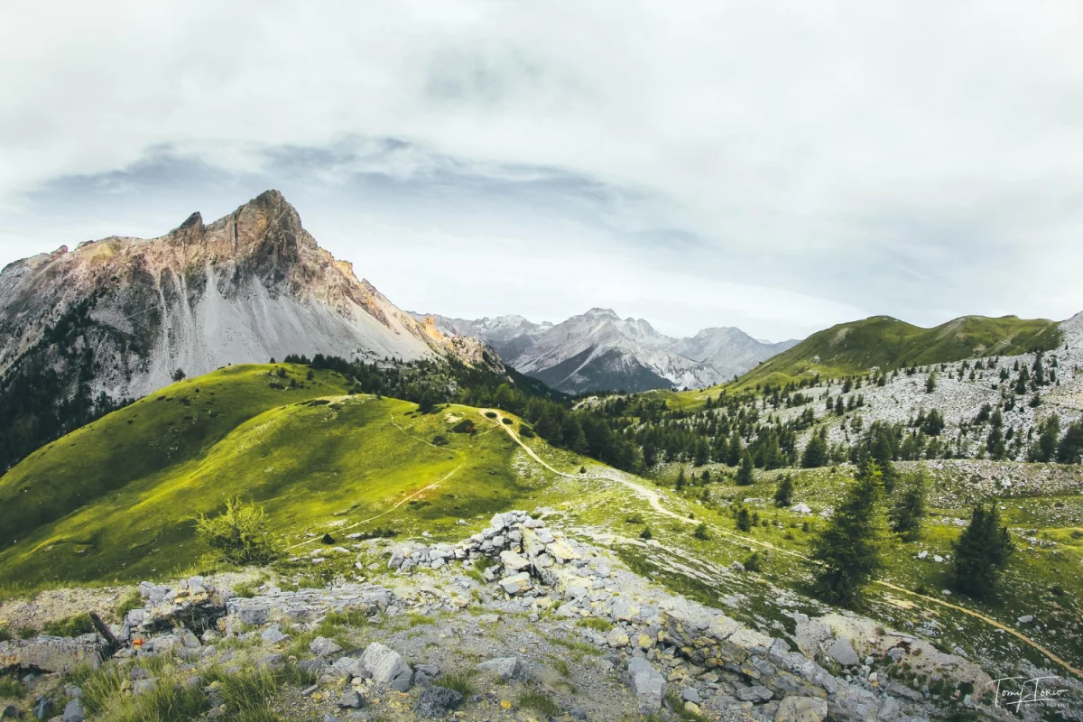 Jak wynająć namiot eventowy - stawka godzinowa