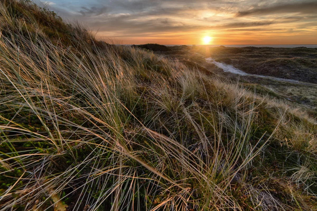 naprawić klimatyzacje w markach szybciej?