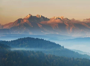 Szokujące 9 Metod Aby chronić środowisko
